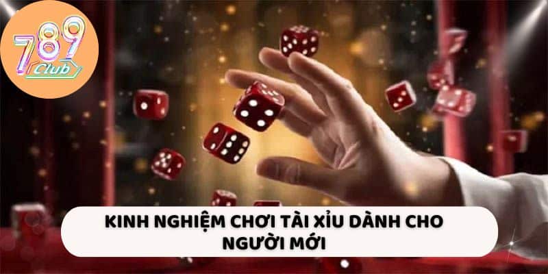Kinh nghiệm chơi Tài xỉu dành cho người mới